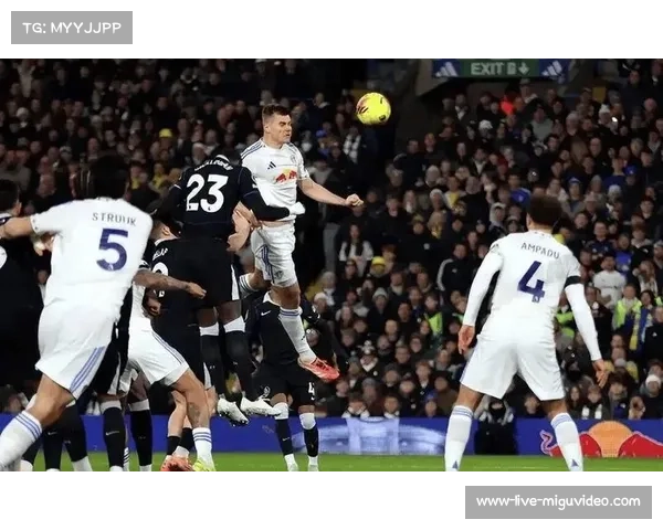 桑德兰对阵布莱顿 光明球场主场不败金身面临考验